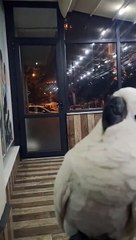 bulut ezan sesiyle şenlendi