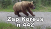 Zap Koreus n°442