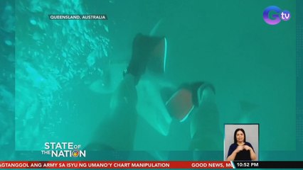 Flipper ng diver, kinagat ng pating | SONA