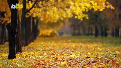 Make Your Summer to Fall Skincare Shift as Smooth as Your Forehead