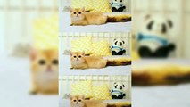 Funny Cats 2021☺ Cute Cat and Kitten Videos Compilation  pro cats funny pro cats 2021