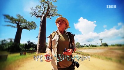 세계테마기행 - 고고 아일랜드- 낭만 카리브, 쿠바_#001