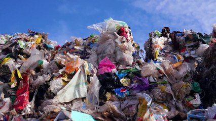 UpPacked :أبطال بيئيون