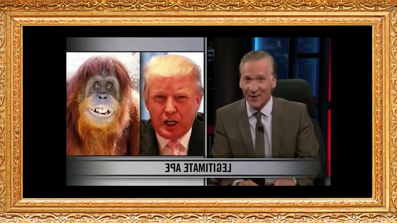 TOP TEN respektwürdiger Denker - #4 Ayaan Hirsi-Ali