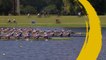 2017 World Rowing Championships – Sarasota-Bradenton, U.S.A. - Men's Eight (M8+) Repechage 2