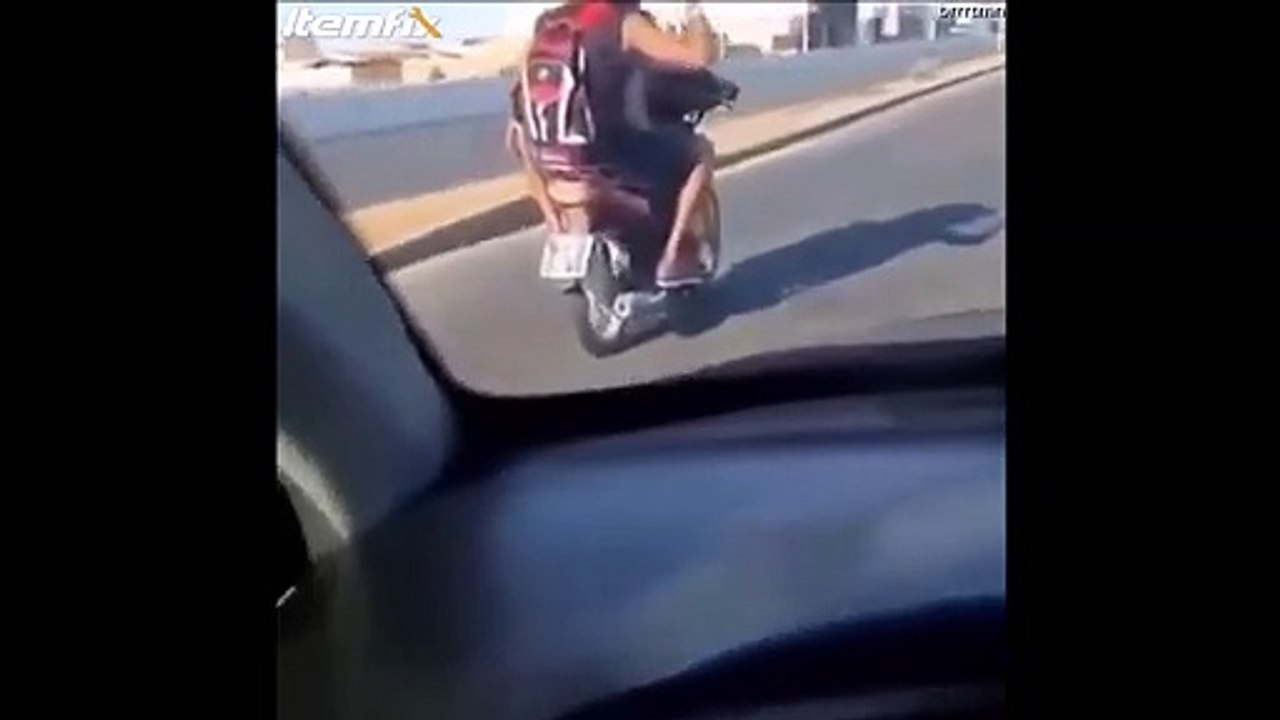 Un chien pilote une moto... oui oui