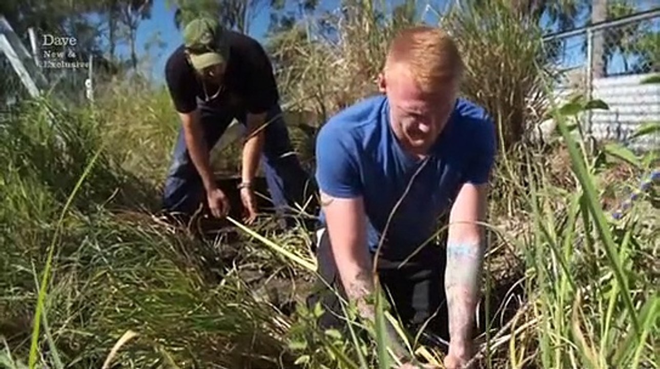 Deadliest Pests Down Under S01E08 (2 June 2016)