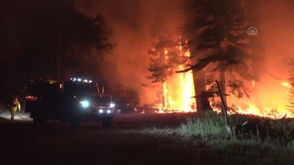 California'daki "Caldor" yangını 756 kilometrekare alanı tahrip etti
