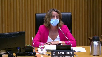 Ribera apoya la creación de una comisión para estudiar el precio de la luz