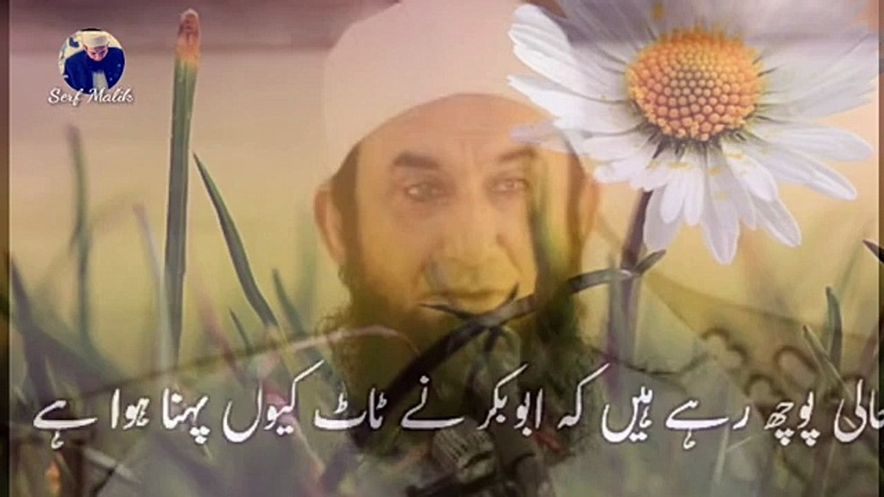 Maulana_Tariq_Jameel_whatsapp_Status___Tariq_Jameel_Best_Bayan