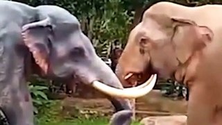 देखिये हाथी की लड़ाई | Thailand Elephant Viral News | Thailand Elephant Attack |