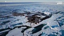 Scientists have accidentally discovered a new island in the Arctic