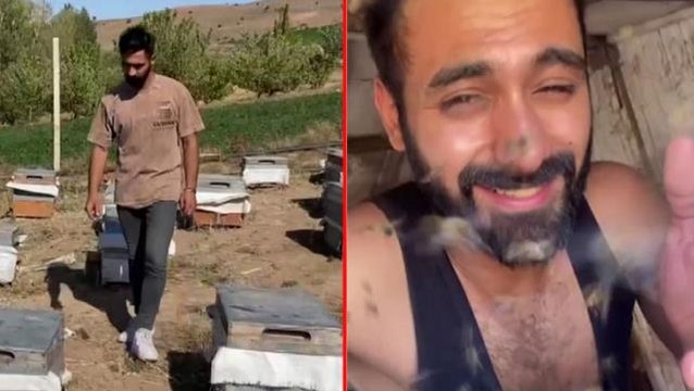 Arılara fısıldayan adam olarak anılan 24 yaşındaki genç, korucuyu kıyafet olmadan kovanların arasına daldı