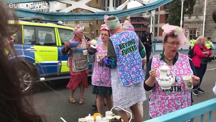 فيديو | نشطاء بيئيون يقطعون جسر "تاور بريدج" في لندن