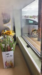 Car crashes into Tesco at Stone Cross