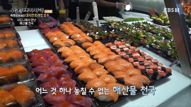 세계테마기행 - 육해공 대자연 트레킹- 호주 동부 랜드마크 여행_#001