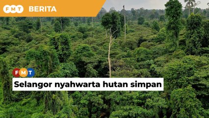 Selangor lulus 54% Hutan Simpan Kuala Langat Utara dinyahwarta