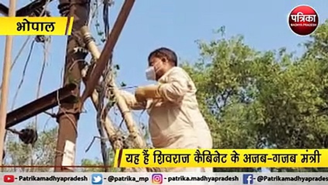 सबसे आगे ऊर्जा मंत्री, निजी स्टाफ में 96 कर्मचारी, 11 सरकारी वाहन रहते हैं तैनात