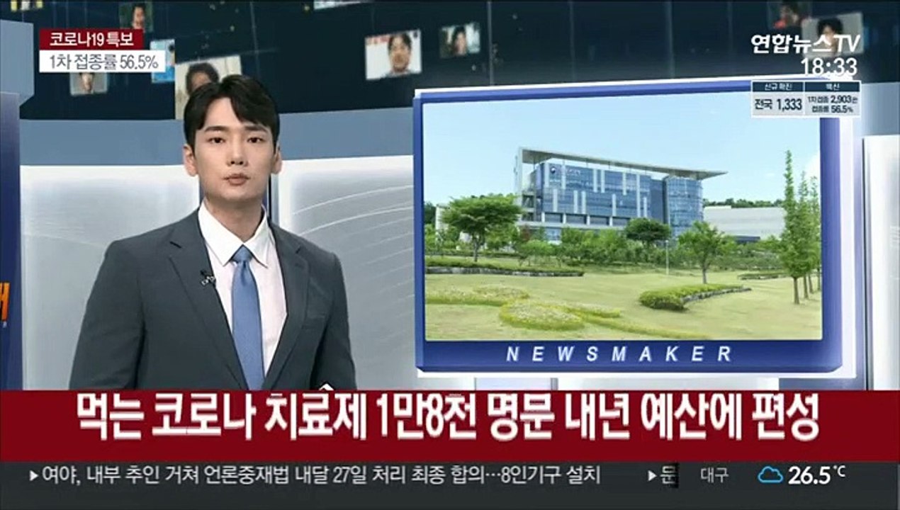 먹는 코로나 치료제 1.8만 명분 내년 예산 편성