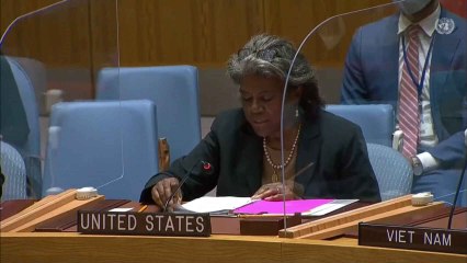El Consejo de Seguridad de la ONU aprueba una resolución sobre Afganistán sin unanimidad