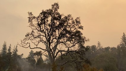 Comunidad latina sería las más afectada por el calor en EEUU