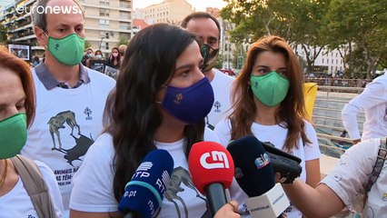 Anti-Stierkampf-Protest in Lissabon: "Wir sind eine neue Gesellschaft"