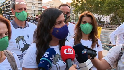 Corrida de toiros em Lisboa relança discussão sobre direitos dos animais