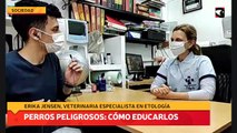 Perros peligrosos cómo educarlos
