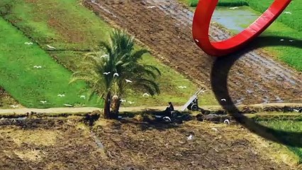 ...كان تنظيمه لفكرة الردع عن كيفية ممارسة ا...