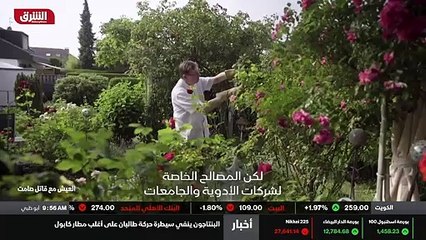 ...أعتقد أن هذا هو الطريق الصحيح للمضي قدما...
