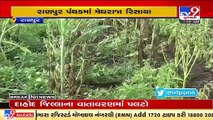 Poor monsoon showers worry Ranpur farmers _ Tv9GujaratiNews