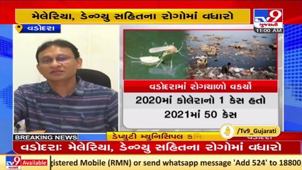 Vector borne diseases on the rise in Vadodara _ Tv9GujaratiNews