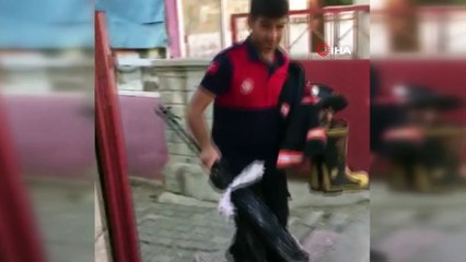 Bingöl'de iş yerine giren yılan paniğe neden oldu