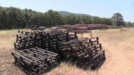 ÇANAKKALE - Kazdağları'nın rüzgarında uçan arıların balları 5 ülkeye ihraç ediliyor