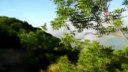 Tunceli’deki orman yangını devam ediyor