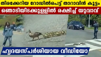 man helping duck family to cross the road video| Oneindia Malayalam