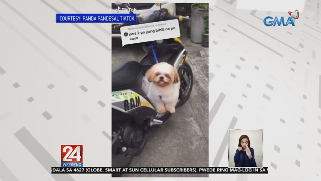 Asong excited sa pandesal at sa paggala, pinusuan ng netizens | 24 Oras Weekend