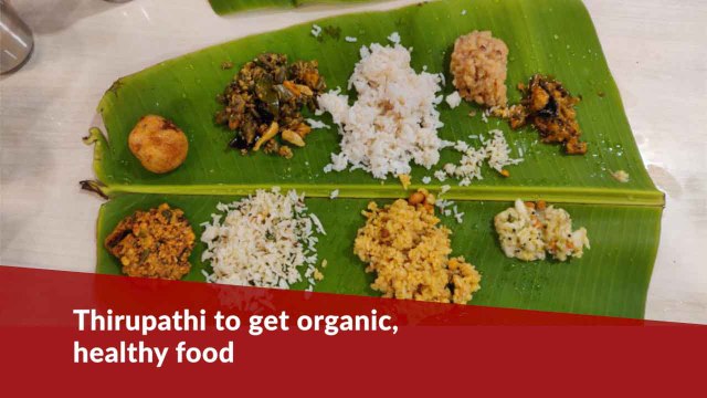 Devotees at Tirupati to get organic food, TTD begins trial