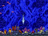 Ecco The Dolphin online multiplayer - megadrive