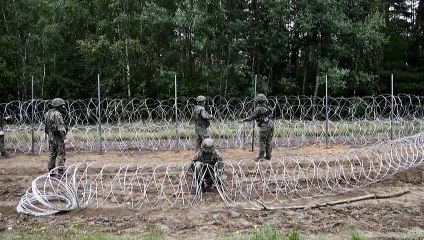 Поляки строят забор на границе с Беларусью
