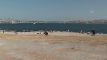 İstanbullular, sıcak havada Boğaz'ın sularında serinledi
