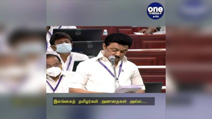 இலங்கைத் தமிழர்கள் அனாதைகள் அல்ல… துணையாக நாம் இருப்போம்… நெகிழ வைத்த முதல்வர்