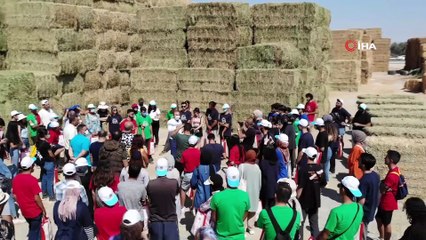 Kampa katılan öğrencilere tarla ve mandıralarda uygulamalı eğitim