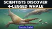 Ancient whale with 4 legs discovered by Egyptian scientists | Oneindia News
