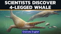 Ancient whale with 4 legs discovered by Egyptian scientists | Oneindia News