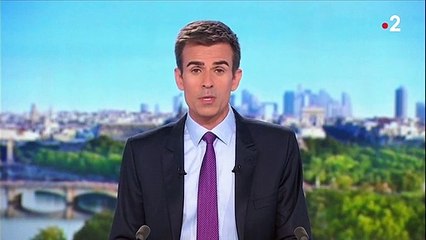 Manifestations anti-pass sanitaire : une nouvelle journée de mobilisation pour les opposants