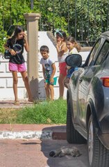 5 YAVRU KÖPEK KATLEDİLDİ, HAYVANSEVERLER İSYAN ETTİ