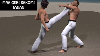 MAE GERI KEKOMI PATADA FRONTAL DE KARATE DE PENETRACIÓN O TRASPASADORA.