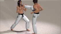 MAE GERI, PATADA FRONTAL Y FUNDAMENTAL EN KARATE