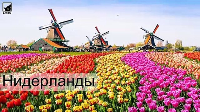 5 самых счастливых стран мира